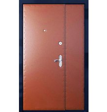 Дверь тамбурная ДТ-101 фото