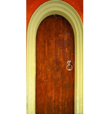Дверь с фотопечатью Венеция ДФ-1031