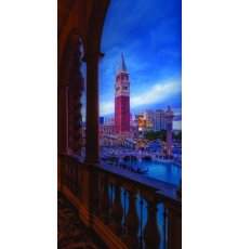 Дверь Цербер с фотопечатью Венеция ДФ-1072 фото