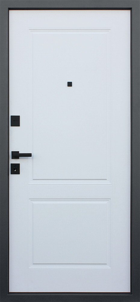 Дверь АСД Интер - Внутренняя панель