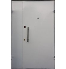 Дверь тамбурная ДТ-108 фото